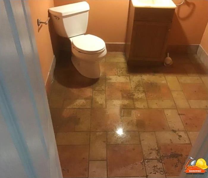 floor of bathroom covered with contaminated water from toilet back flow