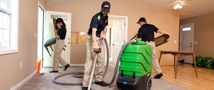 Brookline, MA cleaning services